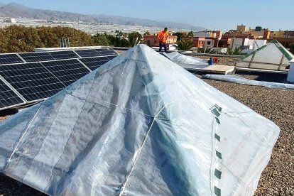 Reparación de los daños causados por la DANA en El Ejido.