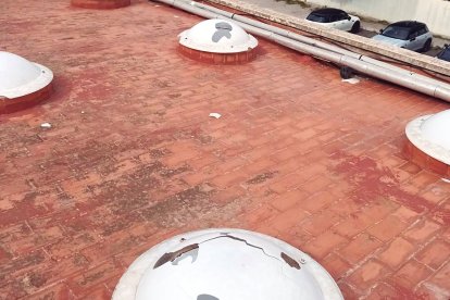 Reparación de los daños causados por la DANA en El Ejido.