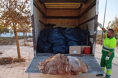 Reparación de los daños causados por la DANA en El Ejido.