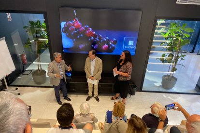 XII Premio Internacional de Periodismo