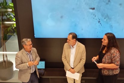 XII Premio Internacional de Periodismo