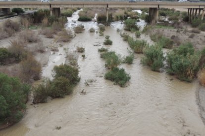 Buen caudal de agua muy cerca de la desembocadura desde los puentes de Los Molinos y el Estadio Mediterráneo.