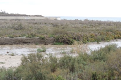 La desembocadura del Andarax a las 12:00 de este miércoles. 