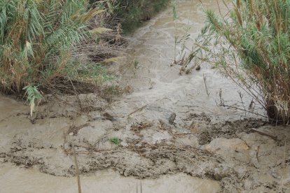 El paso de la DANA se deja notar con la salida del río.