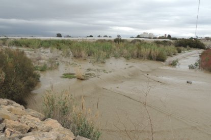 La belleza del Andarax durante este miércoles.