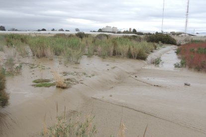 El agua bajando casi de punta a punta.