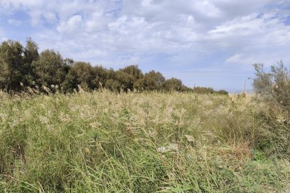 Concentración de vecinos del barrio de Costacabana para exigir medidas de prevención ante posibles inundaciones.
