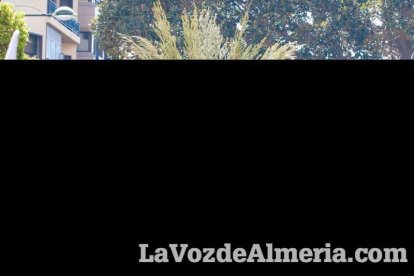 El sol ‘ilumina’ a los cofrades  de La Borriquita. Fotos: Fran Muñoz