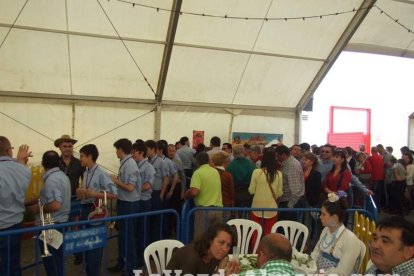 Fiestas de El Ejido en honor a San Marcos.