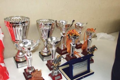 Gran éxito: Han participado diecisiete equipos, en categorías prebenjamines, cadetes, juveniles y senior