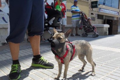 El sonido de las olas llega a la radio un día más a través de los micrófonos