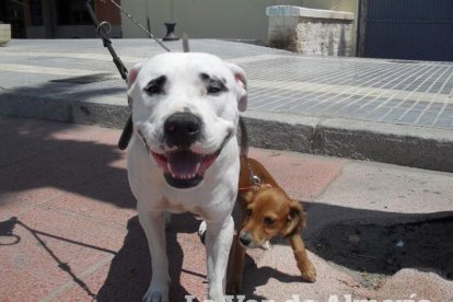 El sonido de las olas llega a la radio un día más a través de los micrófonos