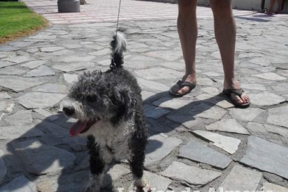 Aguadulce, agua ‘salá’, Cadena SER divierte y usted... ¡venga a disfrutar!