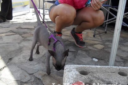 Aguadulce, agua ‘salá’, Cadena SER divierte y usted... ¡venga a disfrutar!