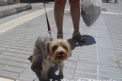 El público de Hoy por Hoy Almería crece cada día a pasos agigantados