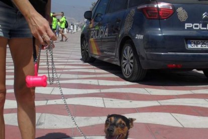 El Palmeral acogerá durante toda la semana el programa ‘Hoy por Hoy’