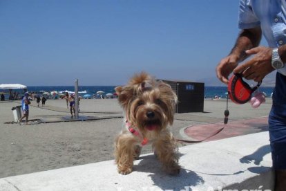 El Palmeral acogerá durante toda la semana el programa ‘Hoy por Hoy’