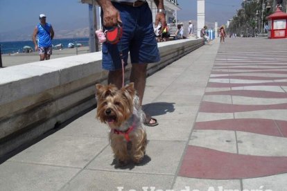 El Palmeral acogerá durante toda la semana el programa ‘Hoy por Hoy’