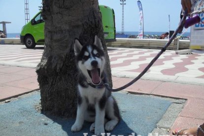 Consejos de salud frente al mar para disfrutar por completo del verano