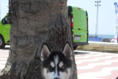 Consejos de salud frente al mar para disfrutar por completo del verano