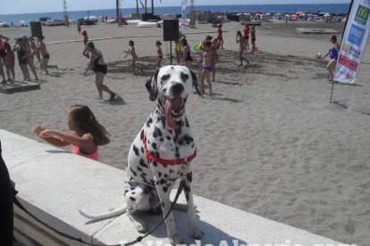 La edición de veranos de Hoy por hoy cuelga el bañador y prepara el traje de lunares para cambiar los días de playa por la Feria.