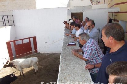 Festejo taurino con los toreros almerienses Torres Jerez y Ruiz Manuel.