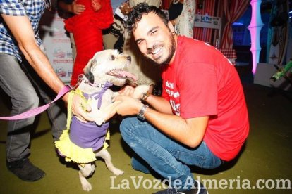 Una nueva noche comienza en la caseta.