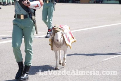Más de 3.000 personas asisten al 95 aniversario de La Legión.El ministro de Defensa Morenés preside un acto conmemorativo que coincide co