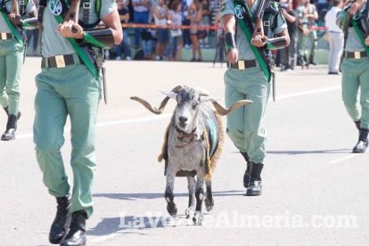 Más de 3.000 personas asisten al 95 aniversario de La Legión.El ministro de Defensa Morenés preside un acto conmemorativo que coincide co