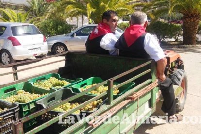 Alboloduy brinda la pisada de su primera uva a Paco Calvache