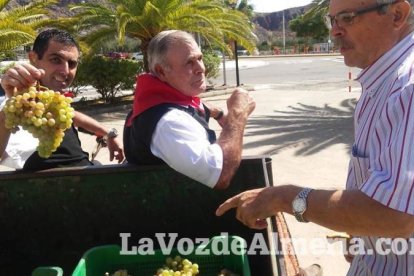 Alboloduy brinda la pisada de su primera uva a Paco Calvache