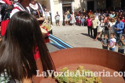 Alboloduy brinda la pisada de su primera uva a Paco Calvache