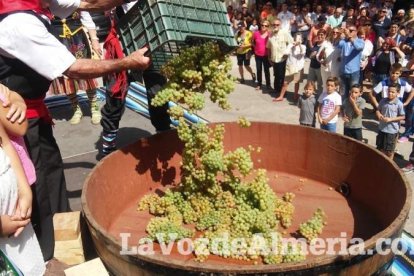 Alboloduy brinda la pisada de su primera uva a Paco Calvache