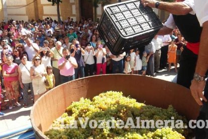 Alboloduy brinda la pisada de su primera uva a Paco Calvache