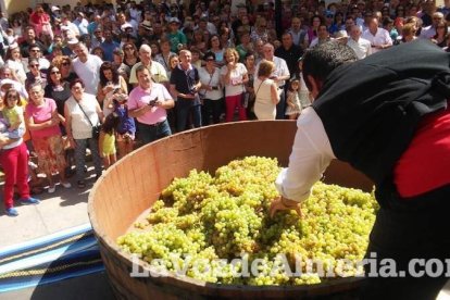 Alboloduy brinda la pisada de su primera uva a Paco Calvache