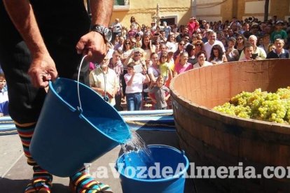 Alboloduy brinda la pisada de su primera uva a Paco Calvache