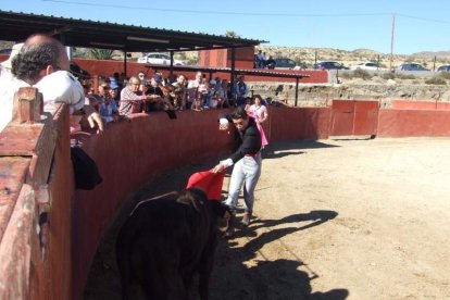 Junto a los toreros Ruiz Manuel y El César han asistido la concejala y el diputado de Cultura. Fotos: JA Barrios
