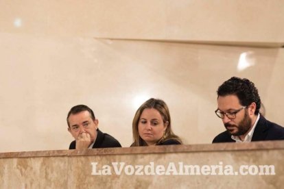 Pleno extraordinario en el que Luis Rogelio Rodríguez- Comendador ha dimitido como alcalde de Almería dando paso a Ramón Fernández-Pache