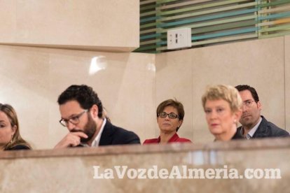 Pleno extraordinario en el que Luis Rogelio Rodríguez- Comendador ha dimitido como alcalde de Almería dando paso a Ramón Fernández-Pache