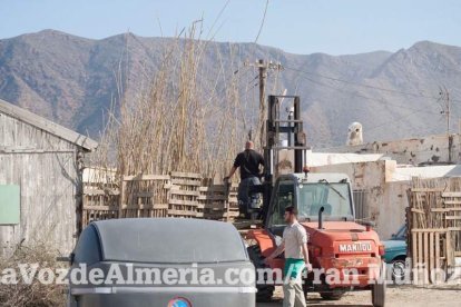 Rodaje de la película Assassin’s Creed en Almería. Fotos: Fran Muñoz.