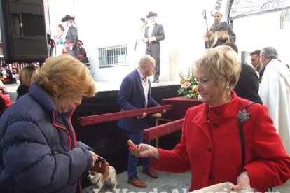San Antón llena el casco histórico de mascotas