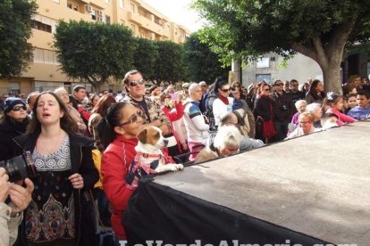 San Antón llena el casco histórico de mascotas