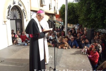 San Antón llena el casco histórico de mascotas