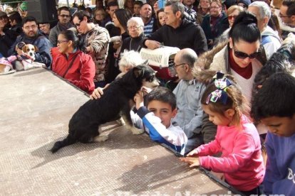 San Antón llena el casco histórico de mascotas