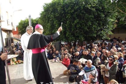 San Antón llena el casco histórico de mascotas
