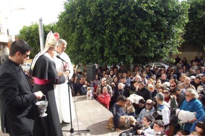 San Antón llena el casco histórico de mascotas