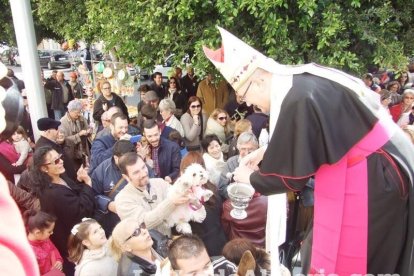 San Antón llena el casco histórico de mascotas