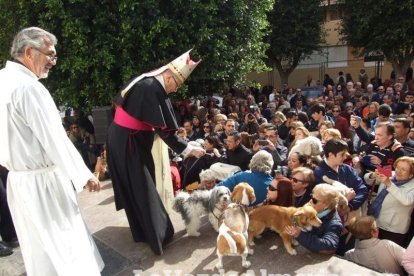 San Antón llena el casco histórico de mascotas