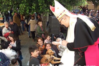 San Antón llena el casco histórico de mascotas