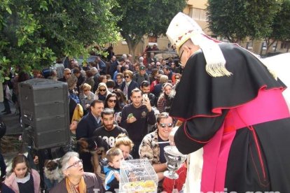 San Antón llena el casco histórico de mascotas